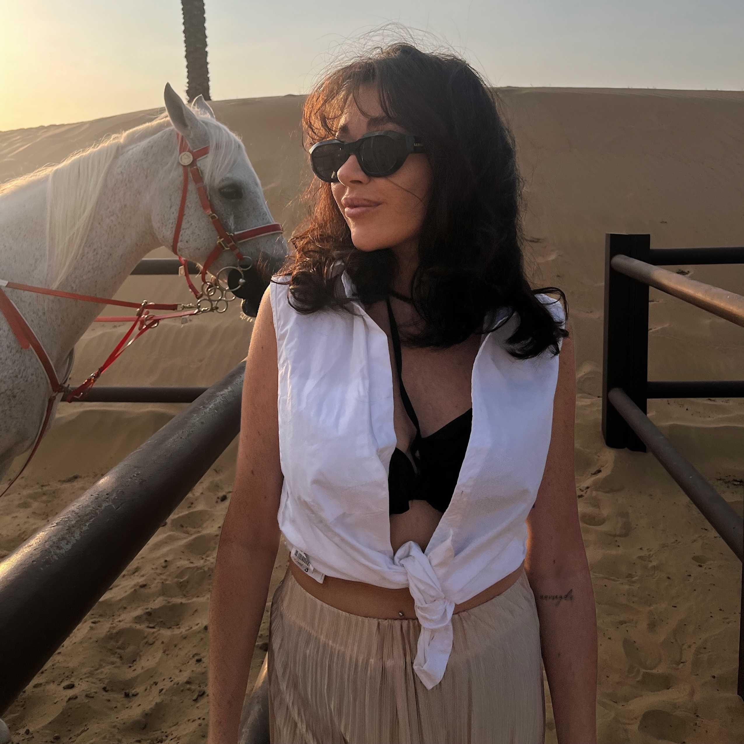 إكليبس نوير