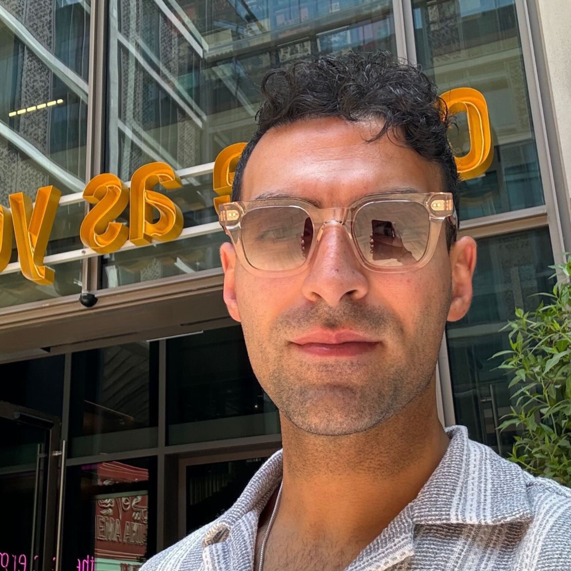 هارموني شامبين