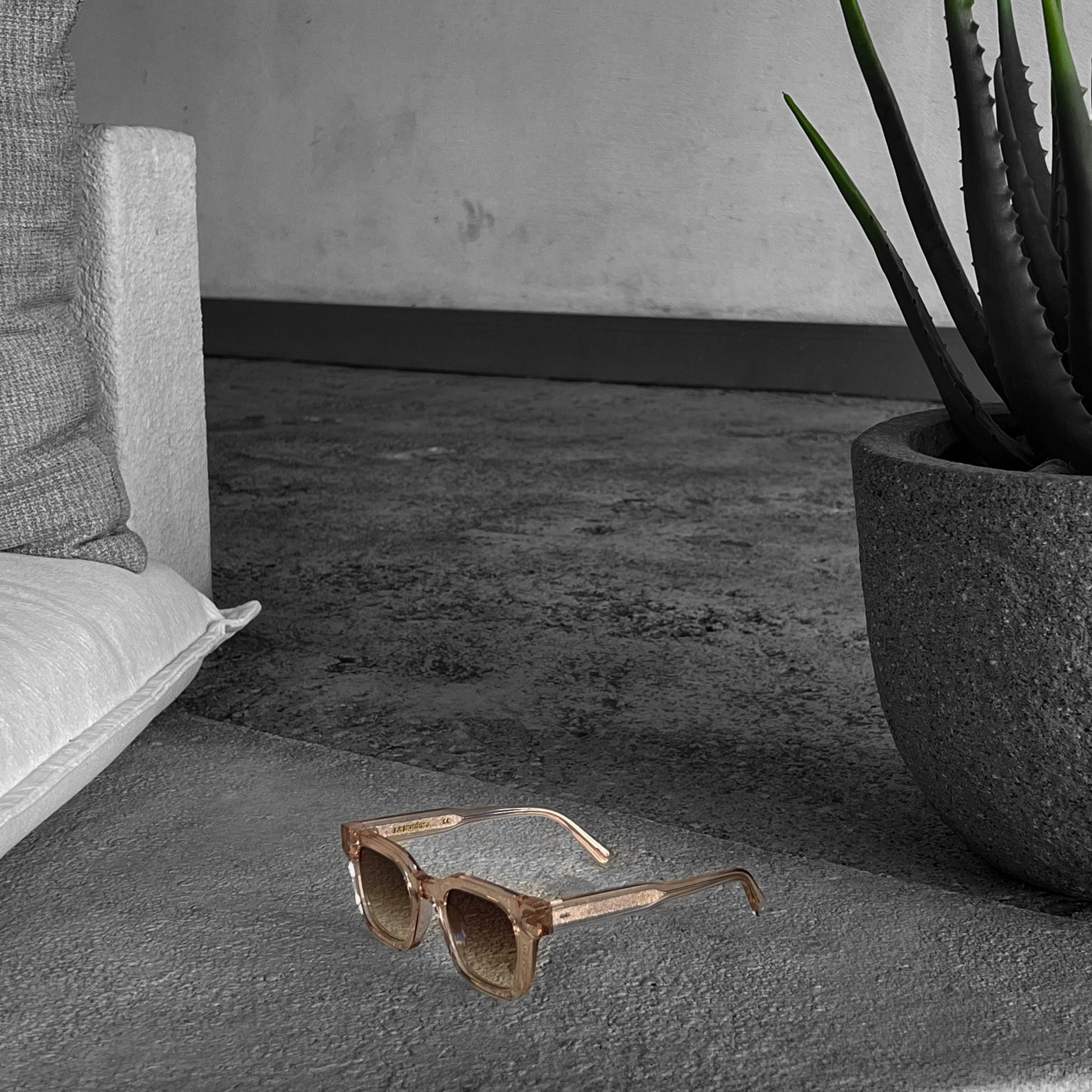 هارموني شامبين